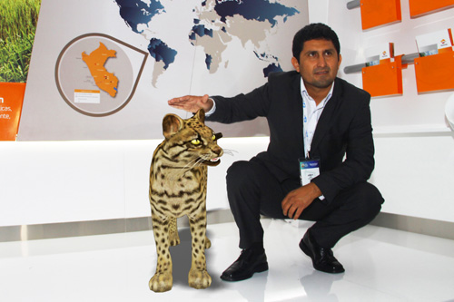 realidad-virtual-stringnet realidad-virtual-stringnet